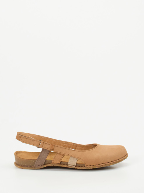Slipper-13112890008 El Naturalista