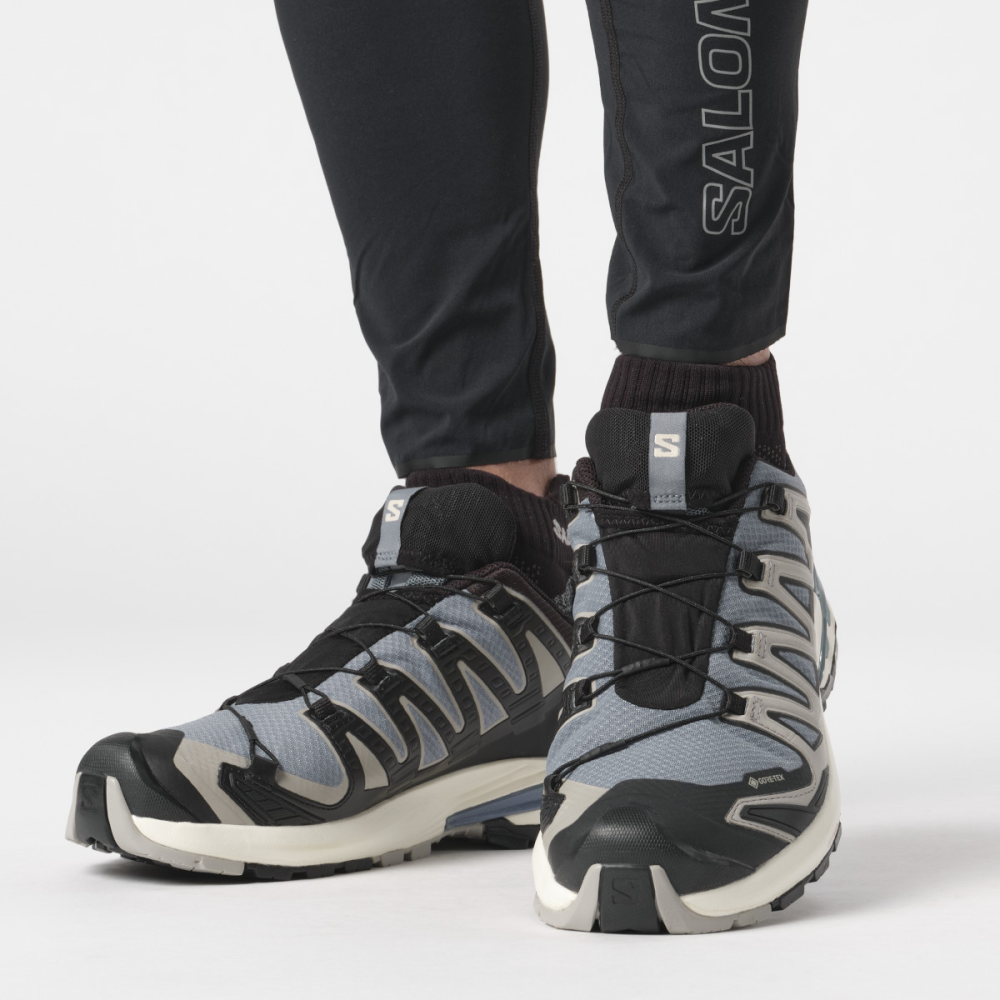Salomon XA Pro 3D V9 GTX L47270600 / grau