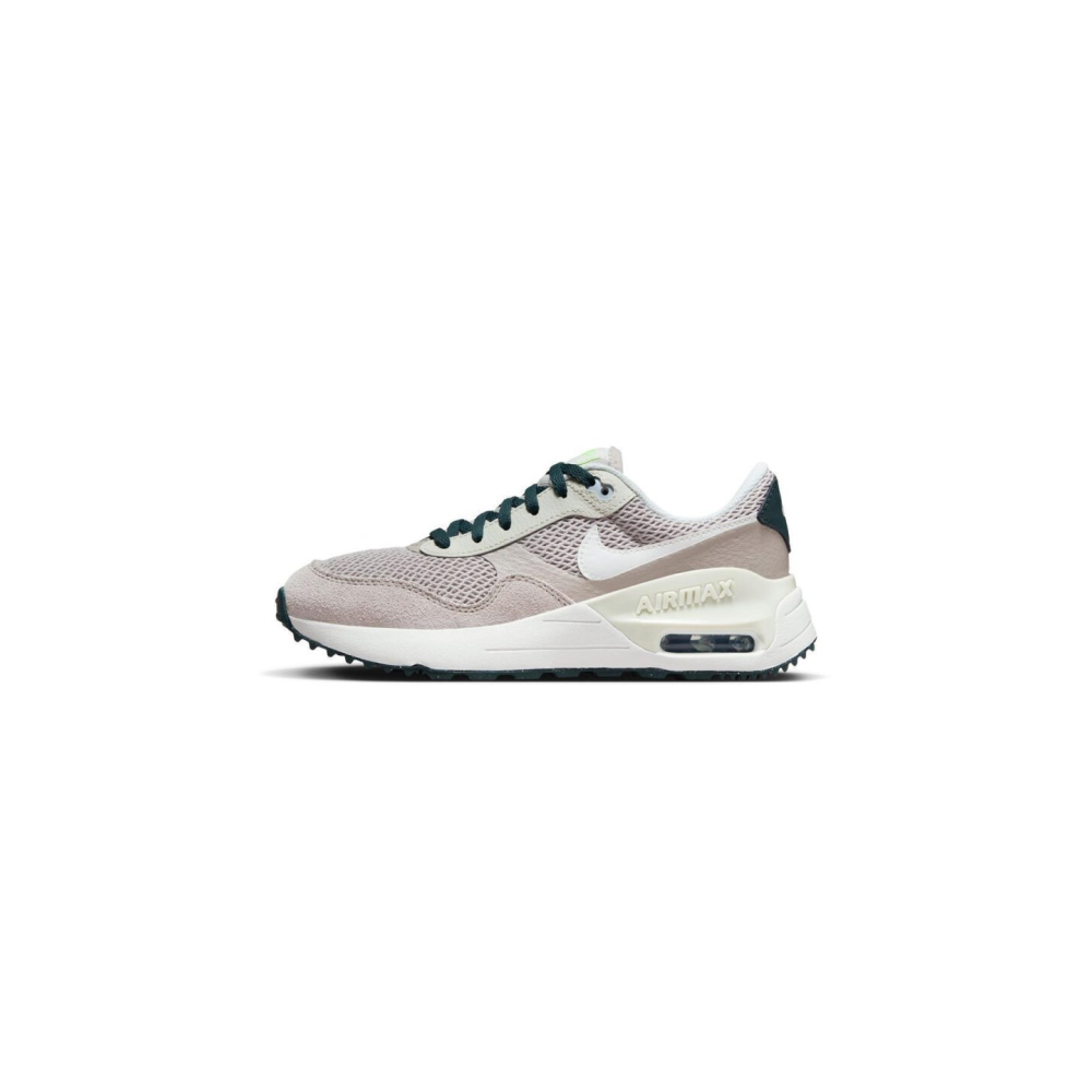 Nike Air Max DQ0284-005 / grau