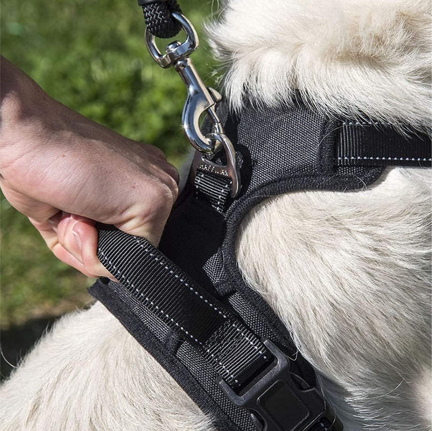 Happilax Hunde-Geschirr Gepolstertes & reflektierendes Hundegeschirr, Größe S, Schwarz S