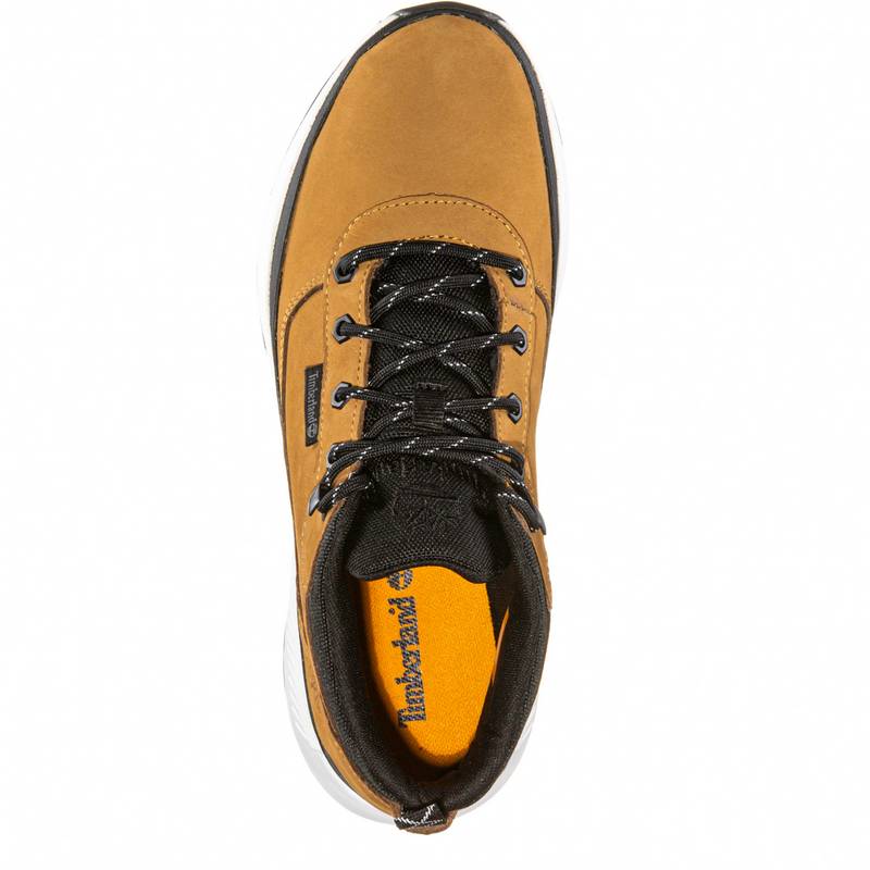 TIMBERLAND Field Trekker Sneaker Herren