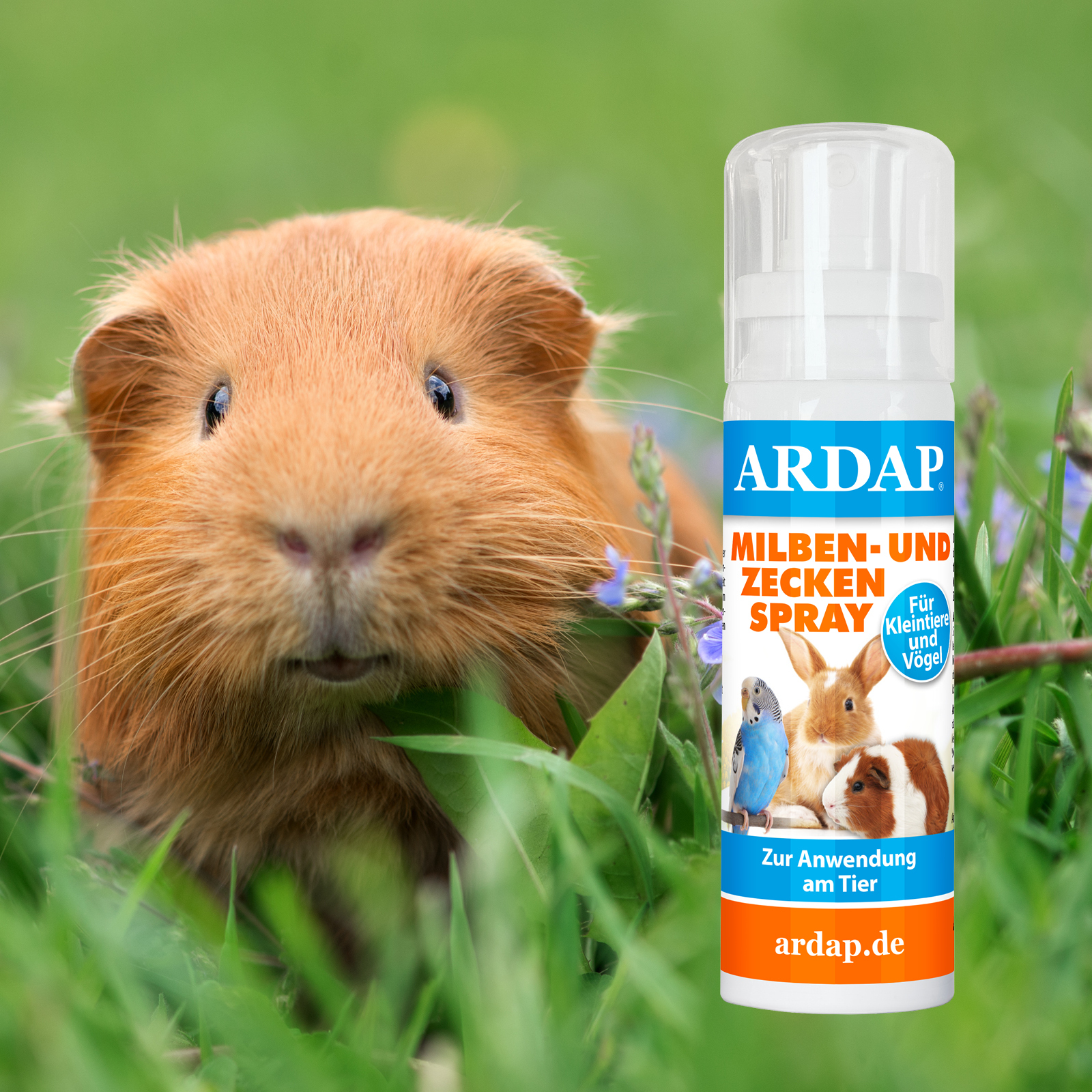 Ardap Ungezieferschutz Ardap Milben- und Zeckenspray für Nager und Vögel 100ml