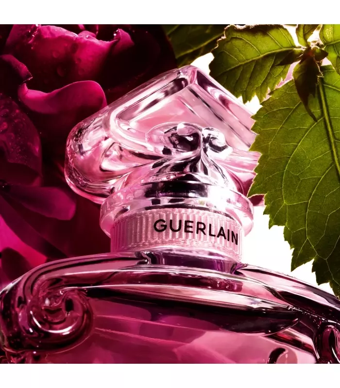 LA PETITE ROBE NOIRE Eau de Parfum Absolue