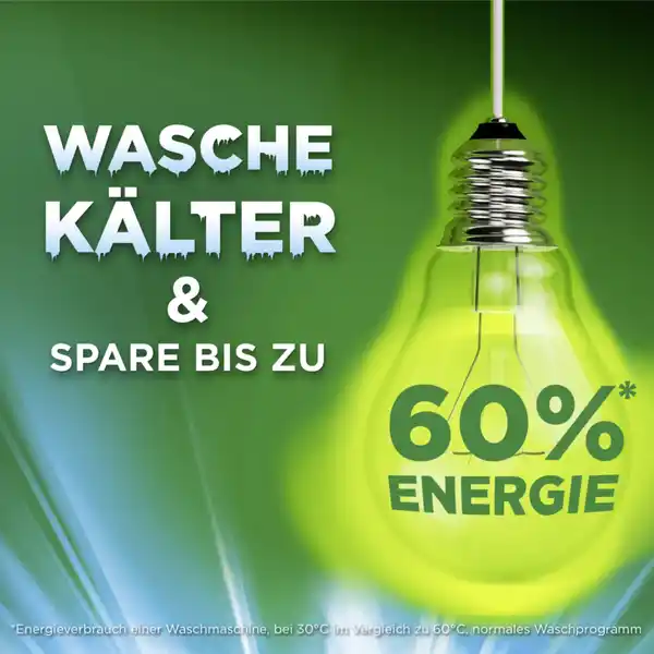 Vollwaschmittel Pulver 80 WL