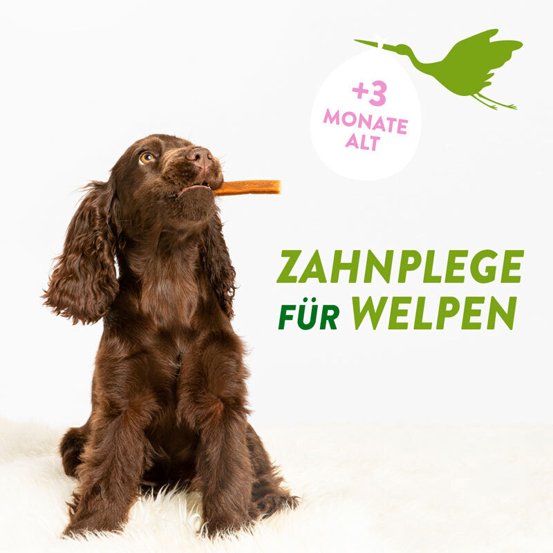WHIMZEES Snacks WHIMZEES Puppy Zahnpflege für kleine Hunde, 14x