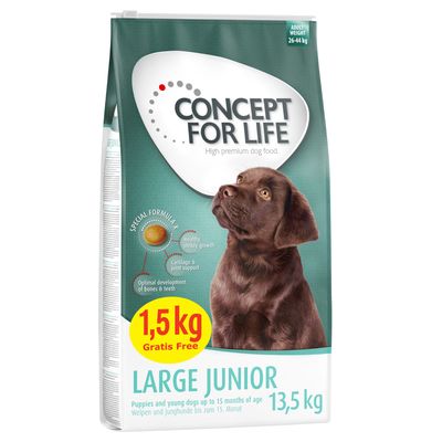 Concept for Life Large Junior