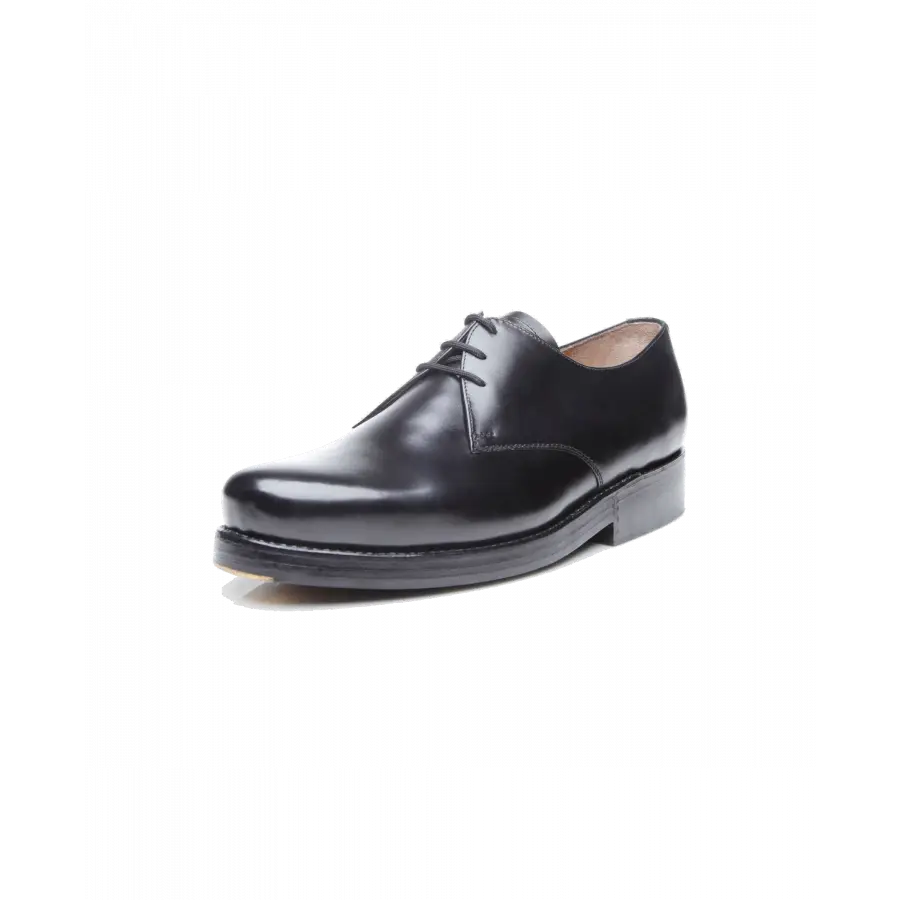 Heinrich Dinkelacker - Businessschuhe Derby RIO PLAIN BC Kalbsleder - schwarz