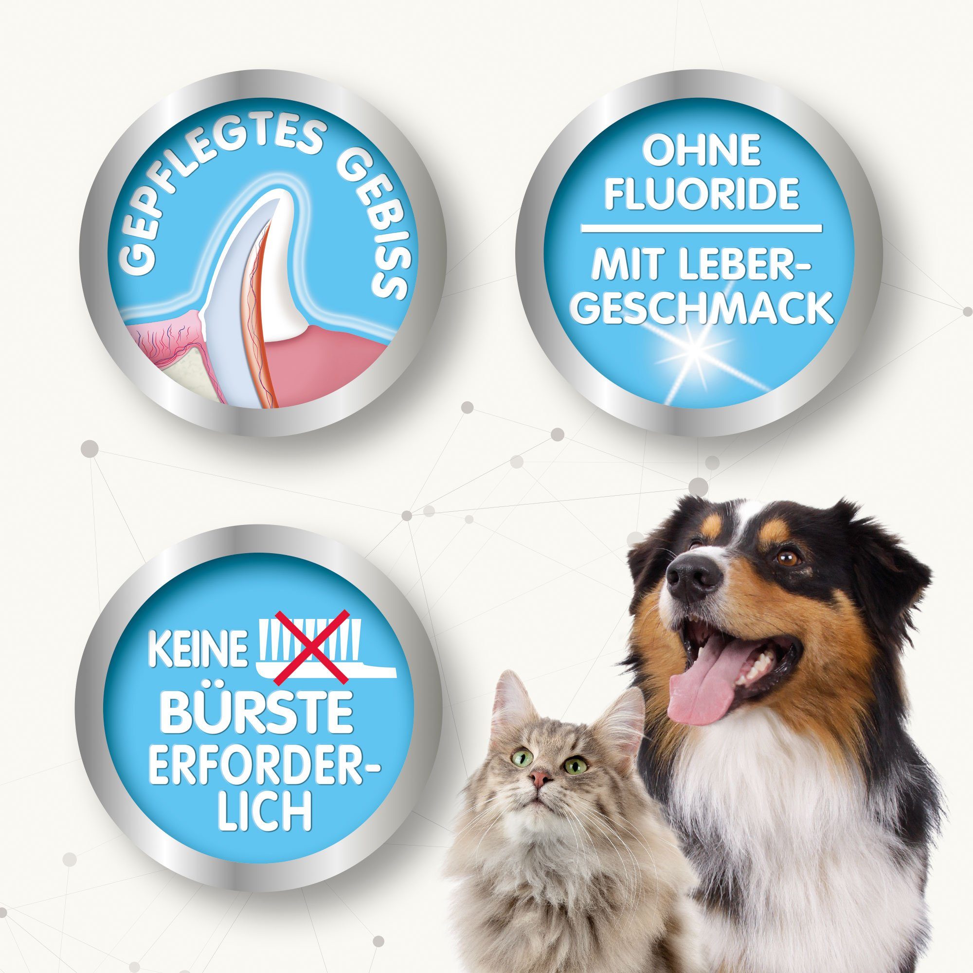 beaphar Tier-Zahncreme Beaphar - Dog-A-Dent Zahngel - 100 g