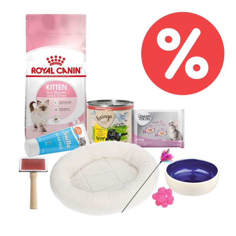 Kitten-Starterpaket 9-teilig zu TOP-Preisen