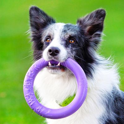 Ferplast Hundespielzeug Puller