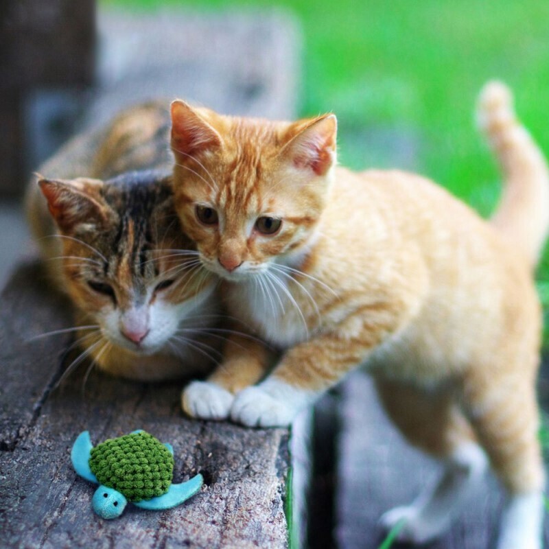 KONG Baldrian & Catnipspielzeug KONG Cat Refillables Turtle