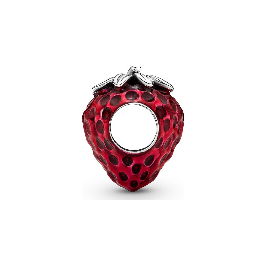 Pandora Charm Moments
