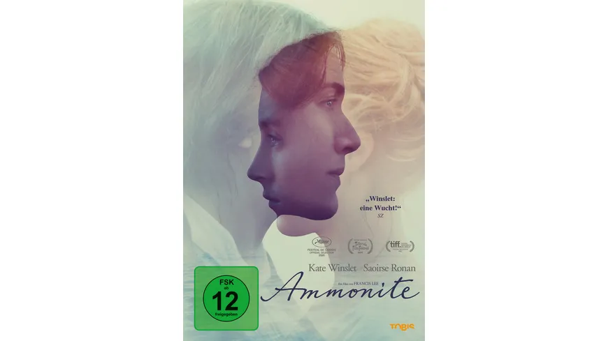 Ammonite