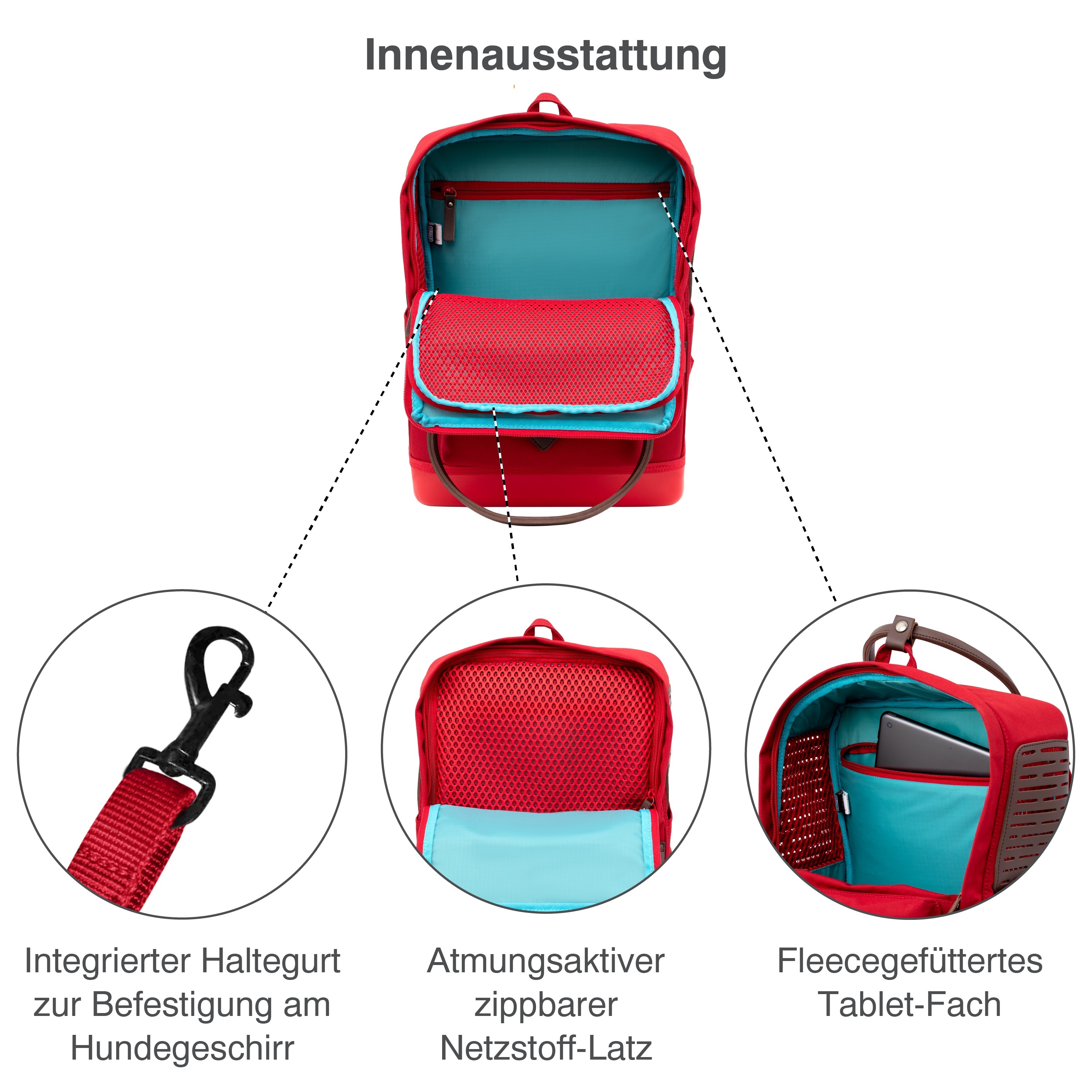 Kurgo Tragetaschen Kurgo Hunderucksack Nomad