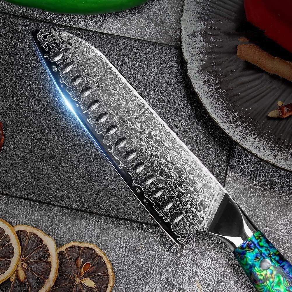 KEENZO Damastmesser Santoku-Messer aus 67 Lagen VG10 Damaststahl Abalone-Muschel Griff