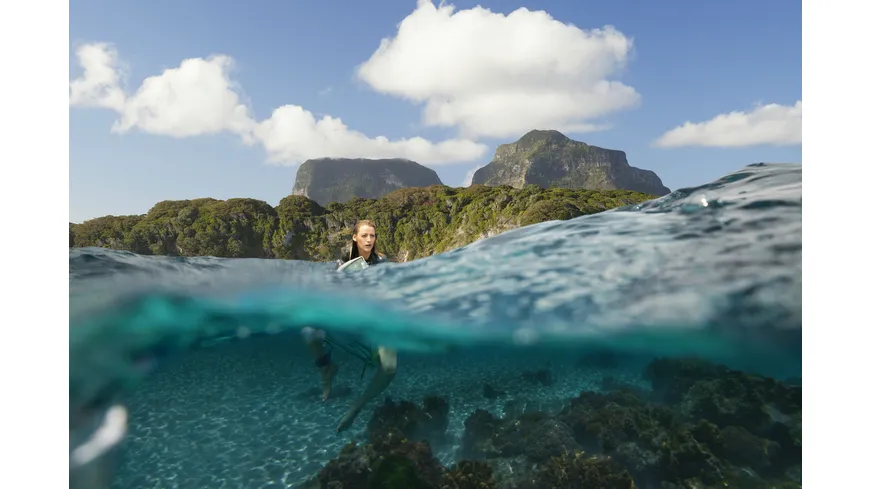 The Shallows - Gefahr aus der Tiefe