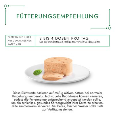 Gourmet Nature's Creations Pastete 12 x 85 g