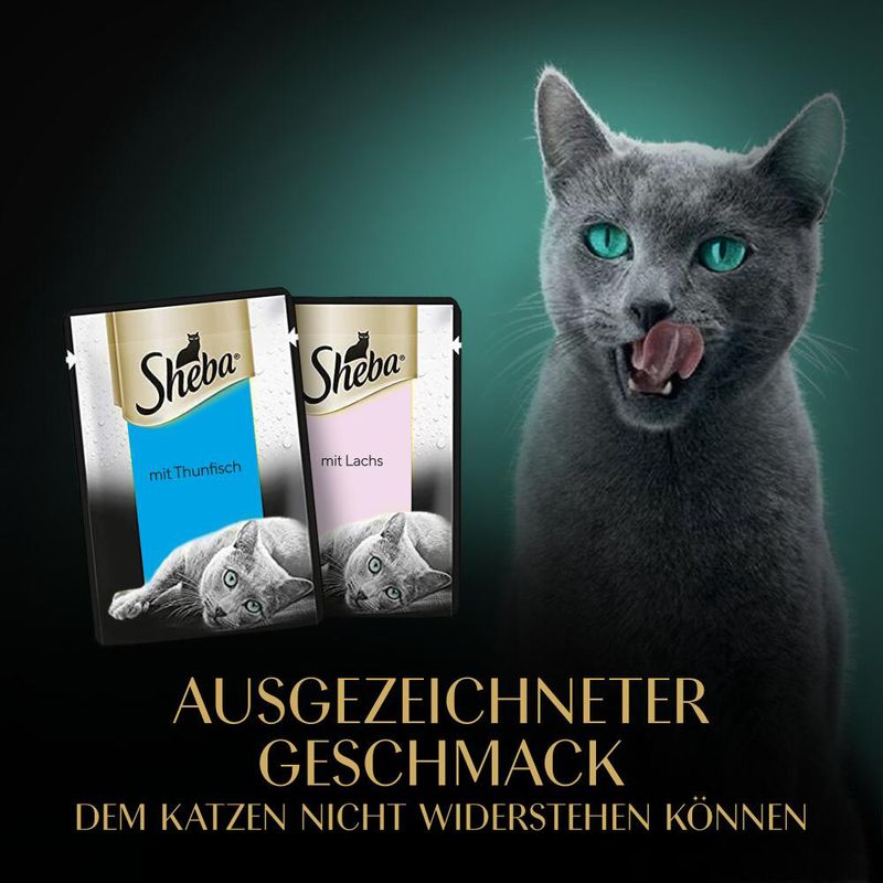Sparpaket Sheba Fresh & Fine 72 x 50 g zu TOP-Preisen | bitiba %