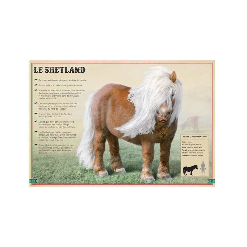 Livre Le livre extraordinaire des chevaux et poneys - Little Urban