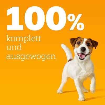 Pedigree Frischebeutel Multipack