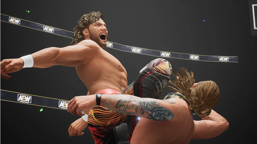 AEW - All Elite Wrestling: Fight Forever