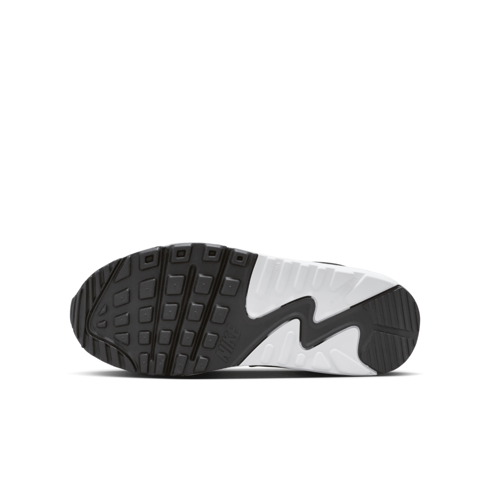 Nike Air Max 90 LTR CD6864-404 / blau