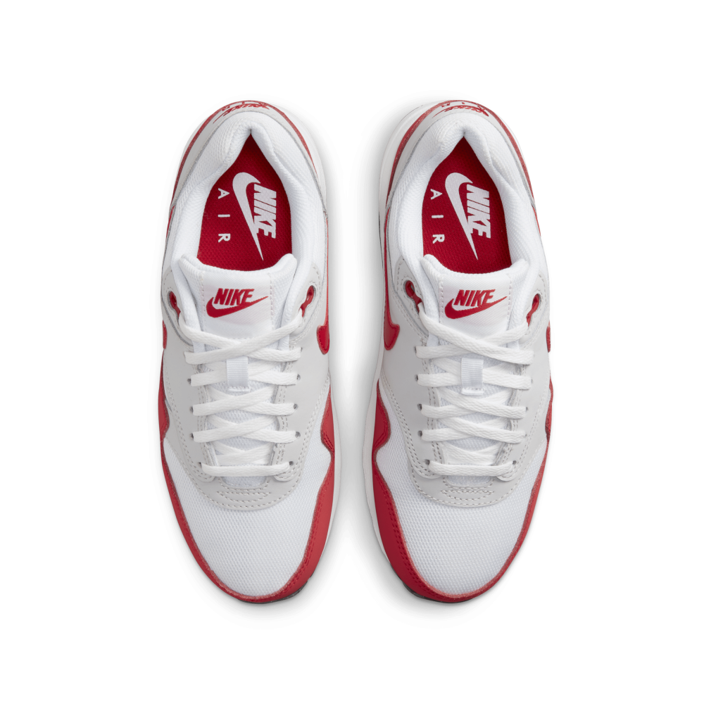 Nike Air Max 1 GS DZ3307-003 / grau
