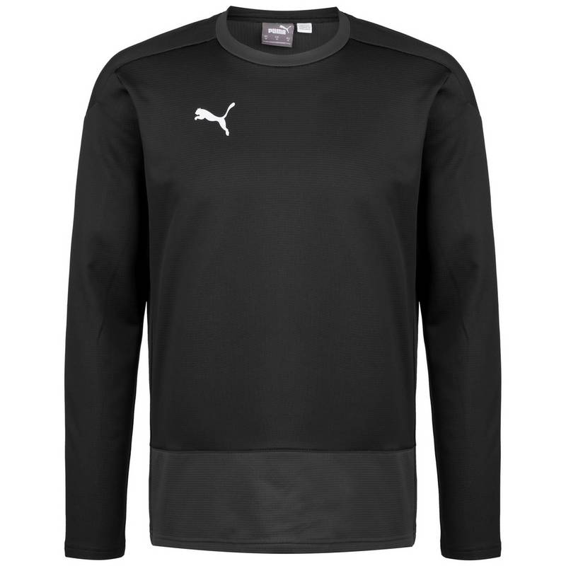 PUMA teamGOAL 23 Funktionssweatshirt Herren