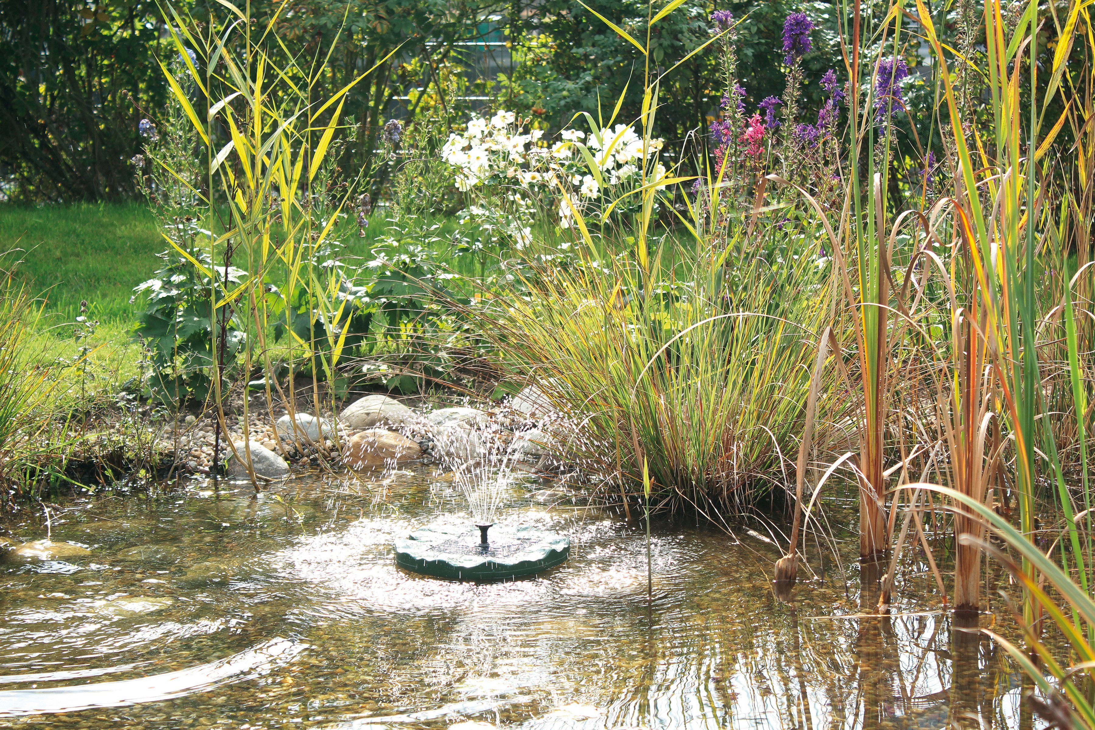 Pontec Solarpumpe PondoSolar Lily Island (Set), 150 l/h