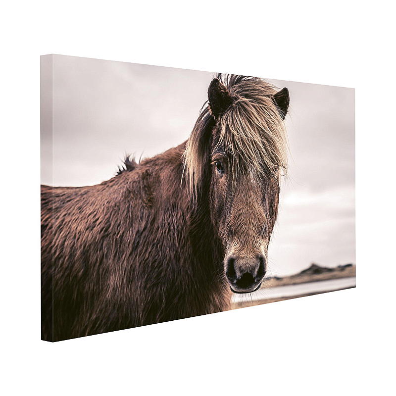 Home Canvasbilde 70x100 cm