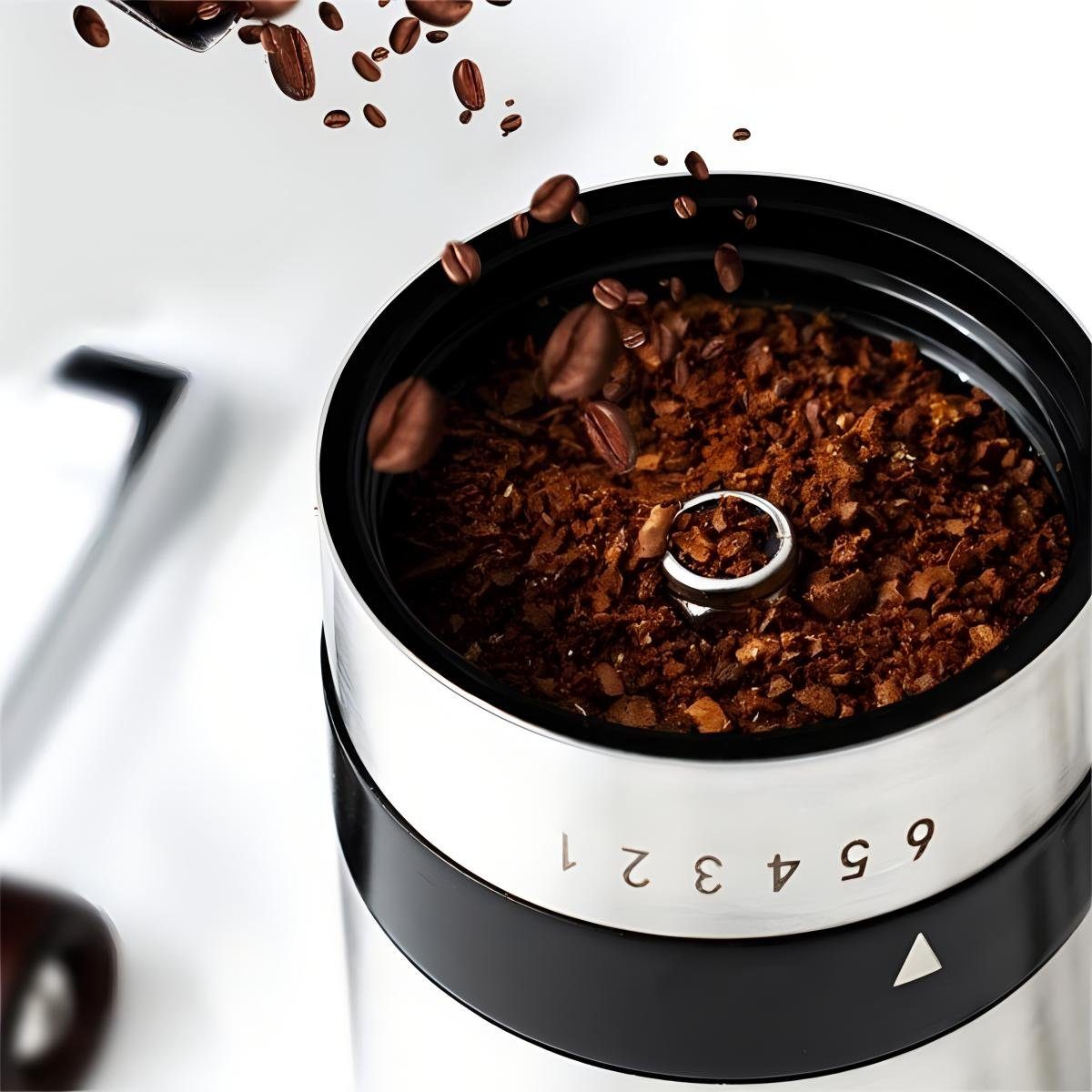 HYIEAR Kaffeemühle Manuelle, Edelstahl und Glas, 6 Verstellbarer Mahlgrad, Keramikmahlwerk, 15,00 g Bohnenbehälter, 110ml Pulverbehälter, inkl. Siebträgeradapter und Reinigungspinsel