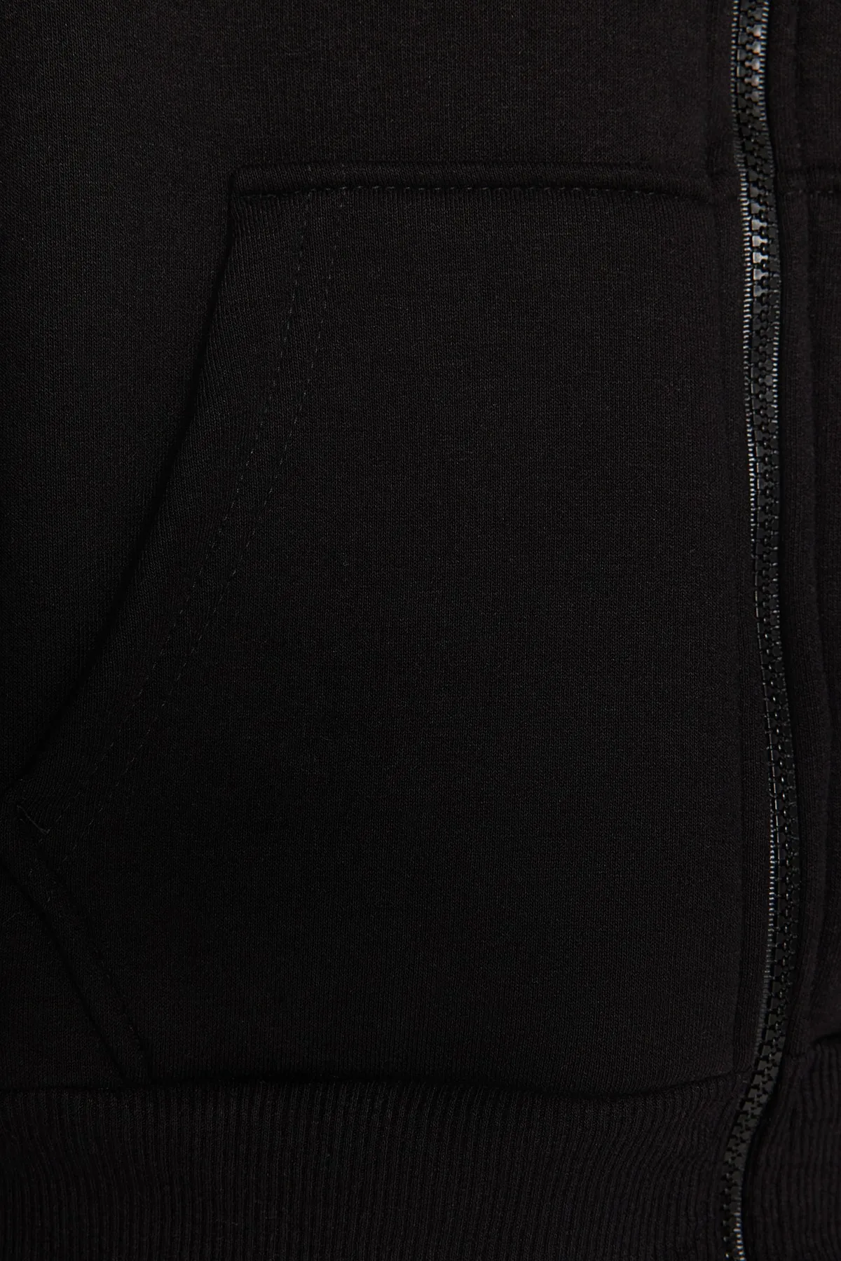 Trendyol Collection  Schwarzes, dickes Innenfleece-Sweatshirt mit normaler/normaler Passform und Kapuze mit Reißverschluss TWOAW21SW0836
