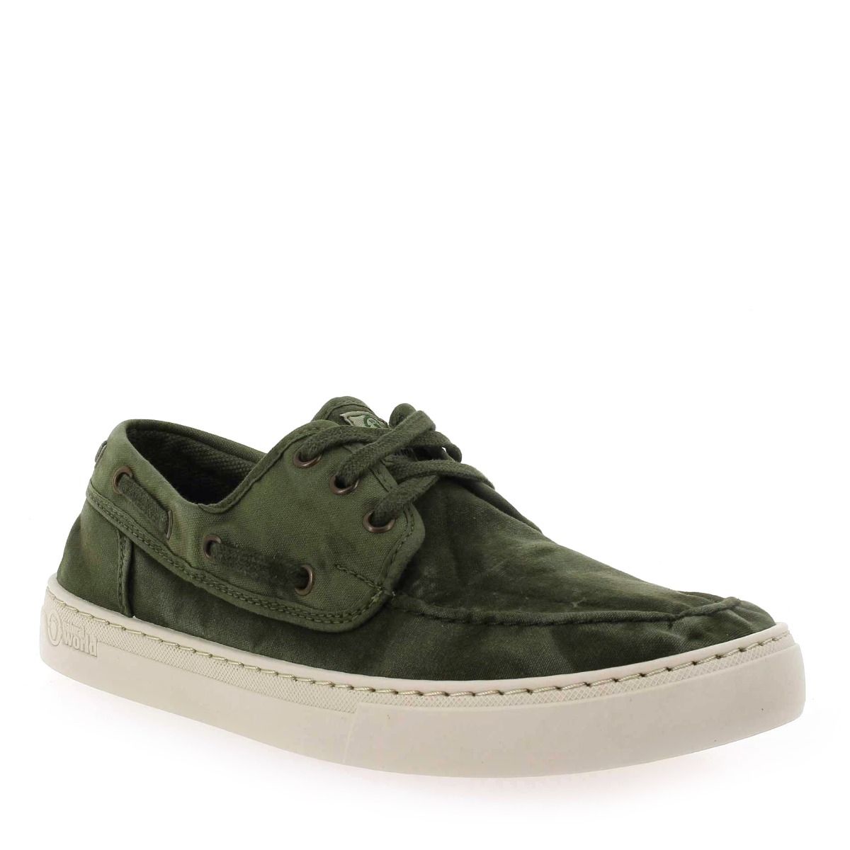 Natural world  6603E - Kaki