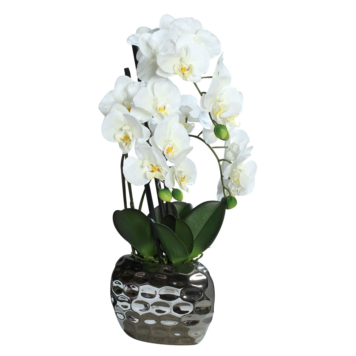 DPIOrchideentopf 50cm