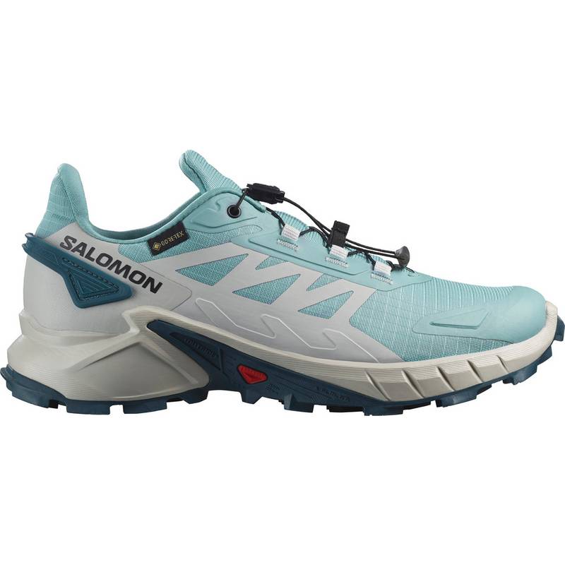 Salomon SUPERCROSS 4 Multifunktionsschuhe Damen
