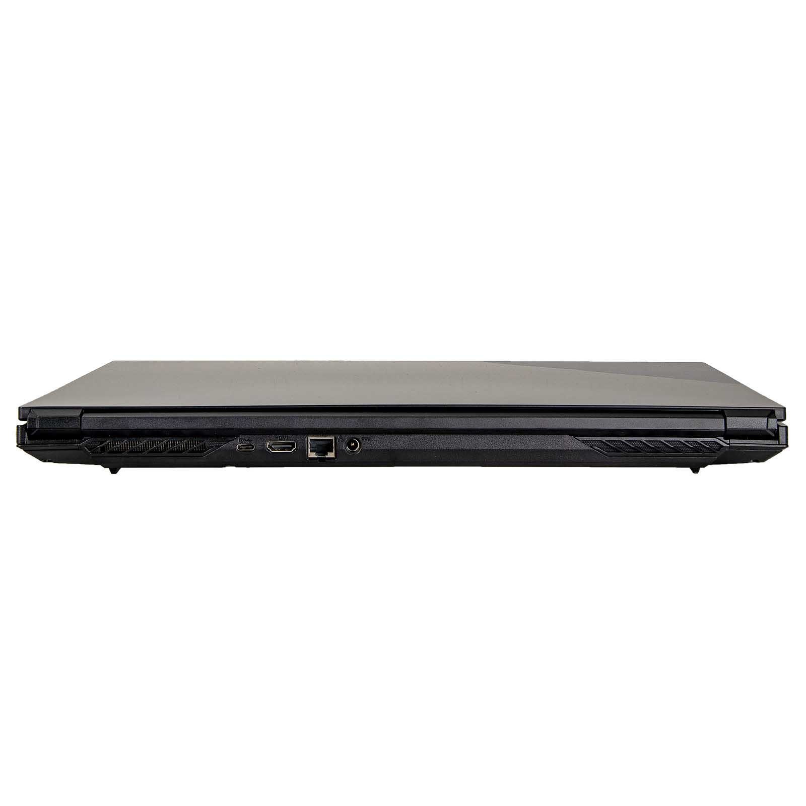 dcl24.de Gaming-Notebook (43,90 cm/17.3 Zoll, Intel Core i5 Intel Core i5-10300H, RTX 3060, 2000 GB SSD)