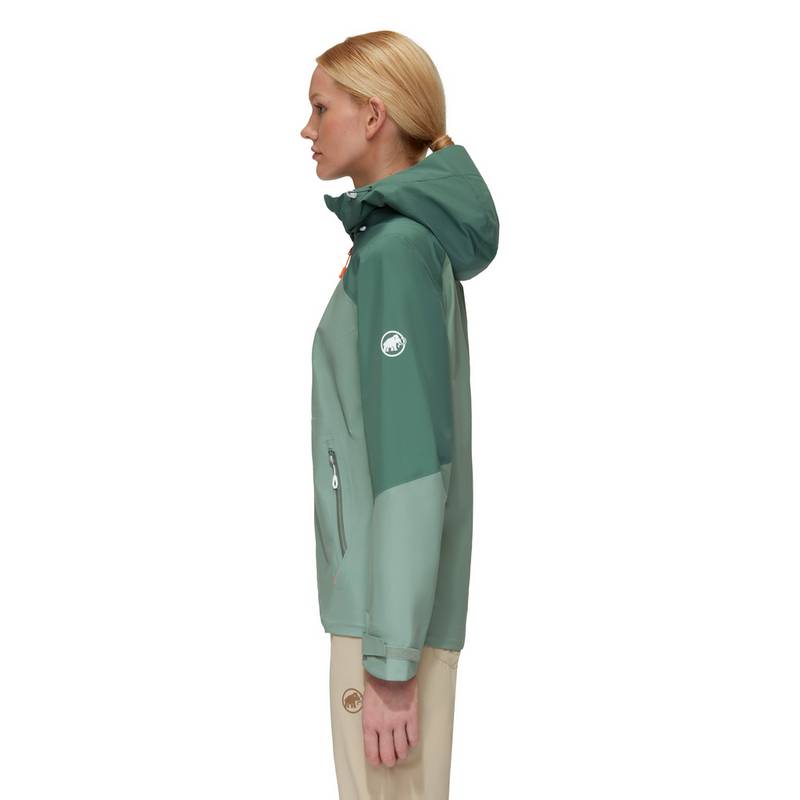 Mammut Convey Tour Hooded Hardshelljacke Damen