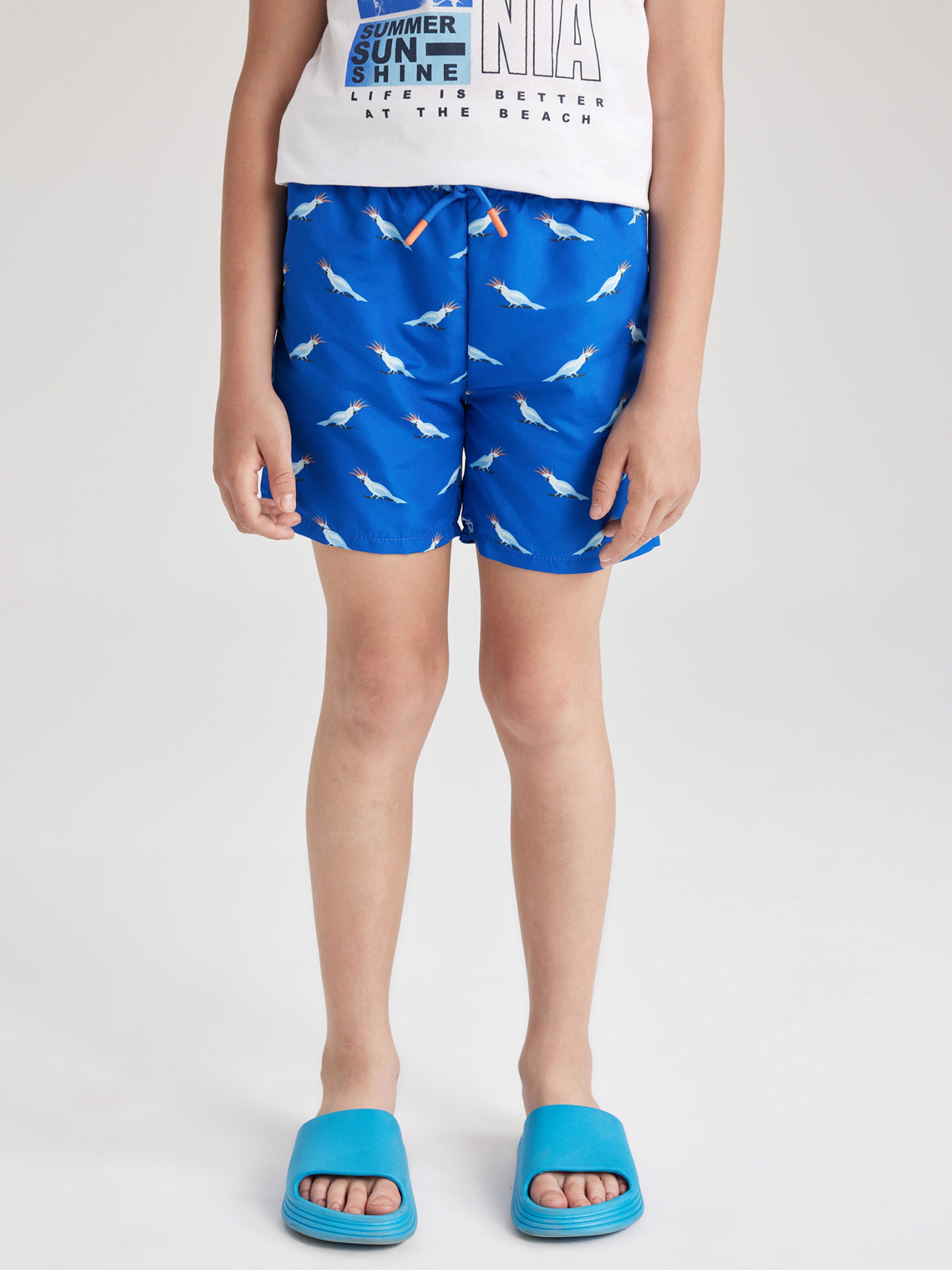 Board Shorts
