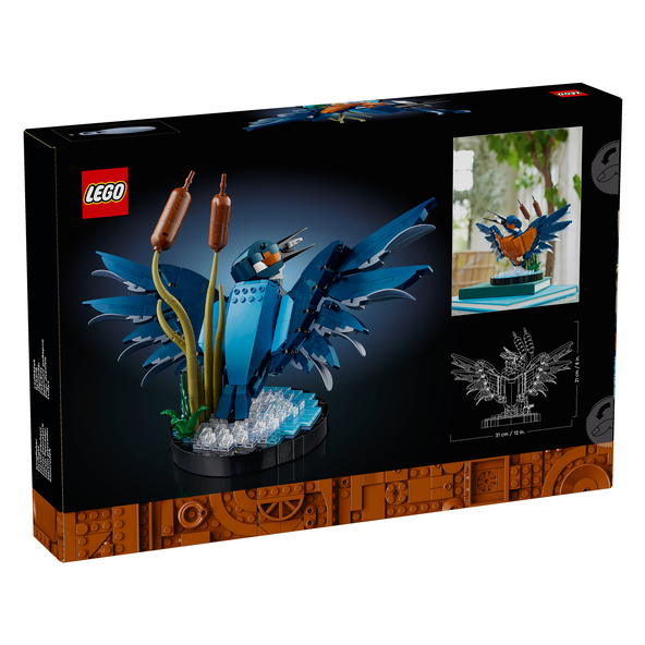 Icons Eisvogel 10331