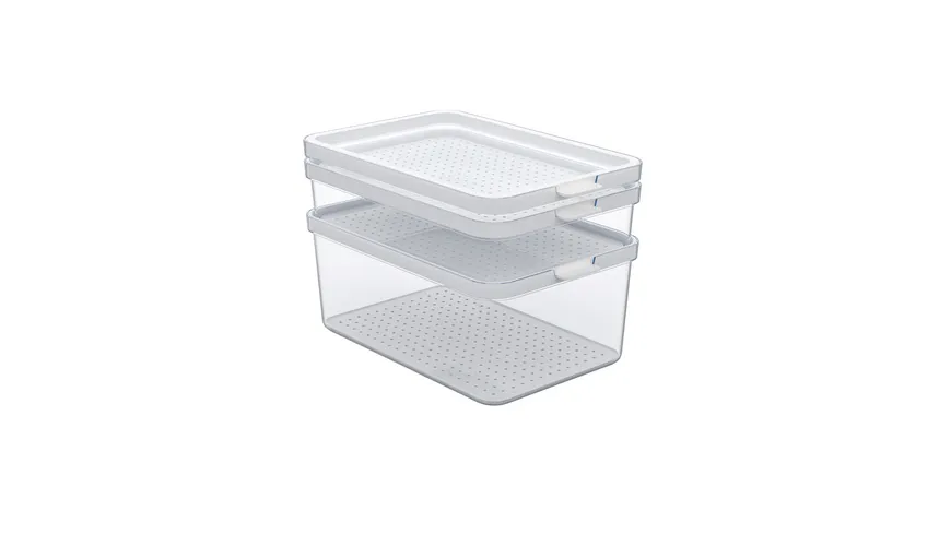 rotho Kühlschrank Organizer Cauma Set 3-tlg.