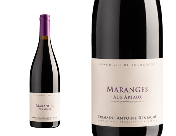 Antoine Reniaume Maranges Aux Arthaux Rouge 2022 Bourgogne Maranges