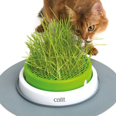 Catit Senses 2.0 Grastopf