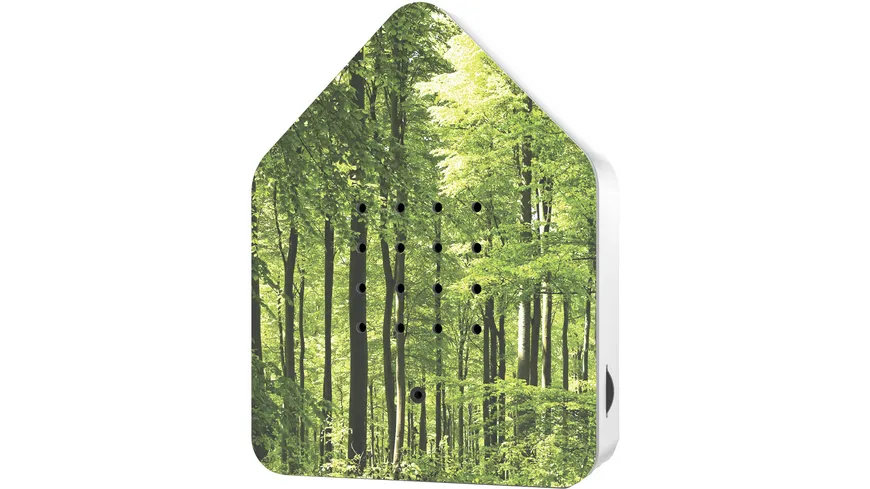 Relaxound Zwitscherbox Image Print Wald
