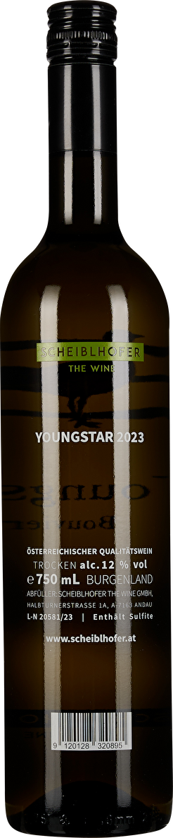 Erich Scheiblhofer Bouvier Youngstar 2023