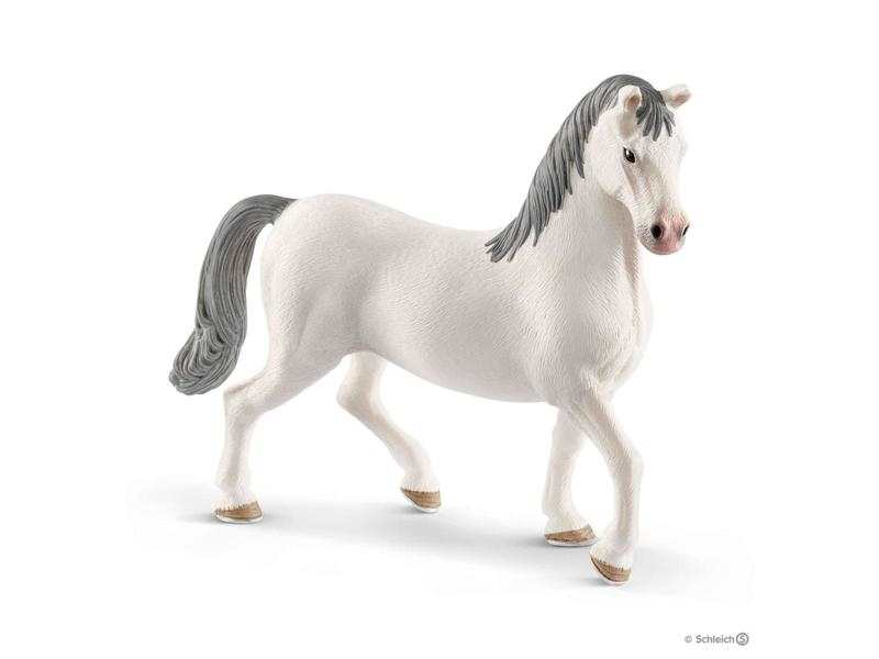 Etalon Lipizzan