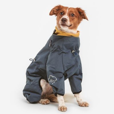 Nomad Tales Spirit Hundeoverall Atlantic