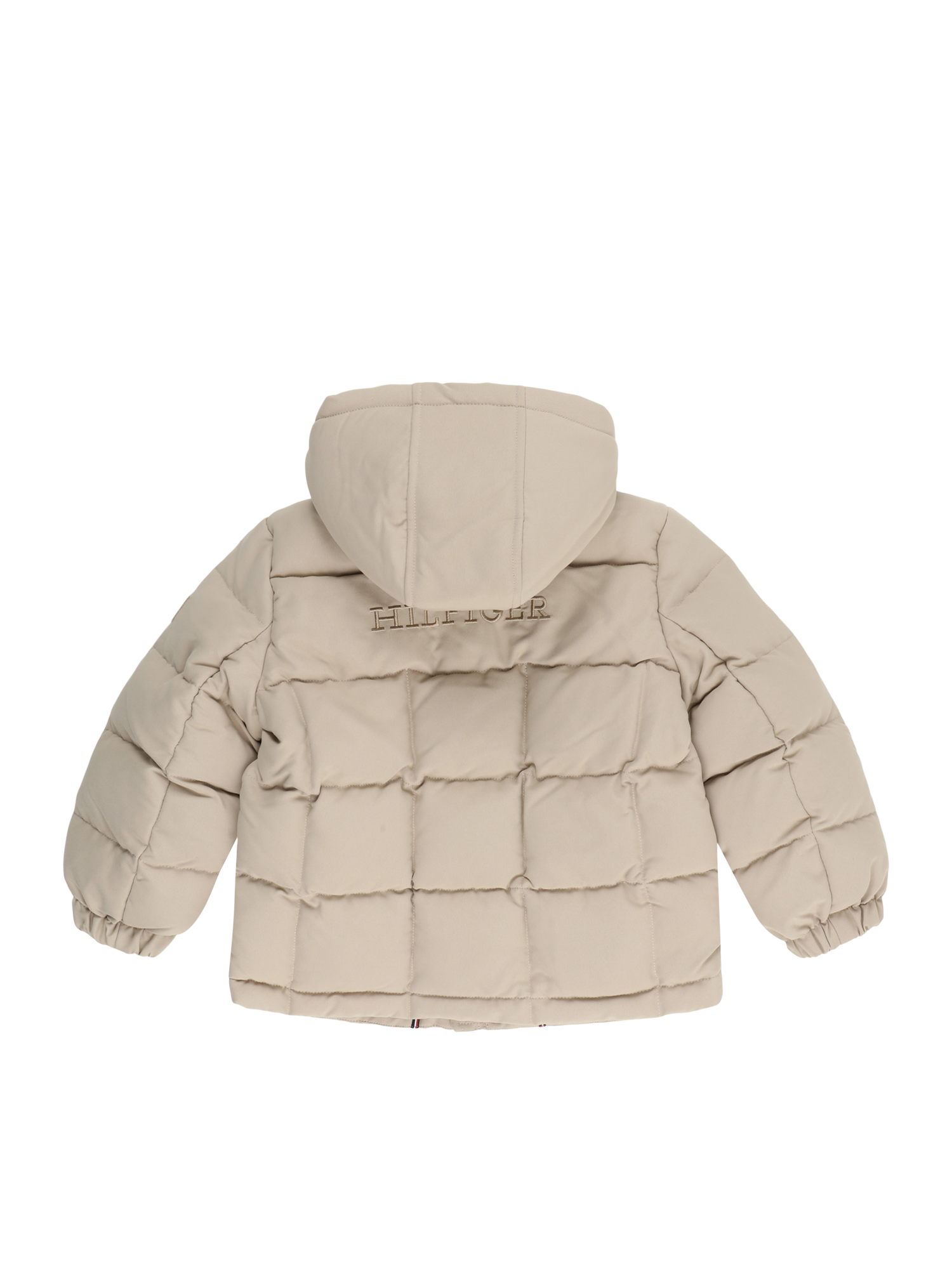 Winter Jacket