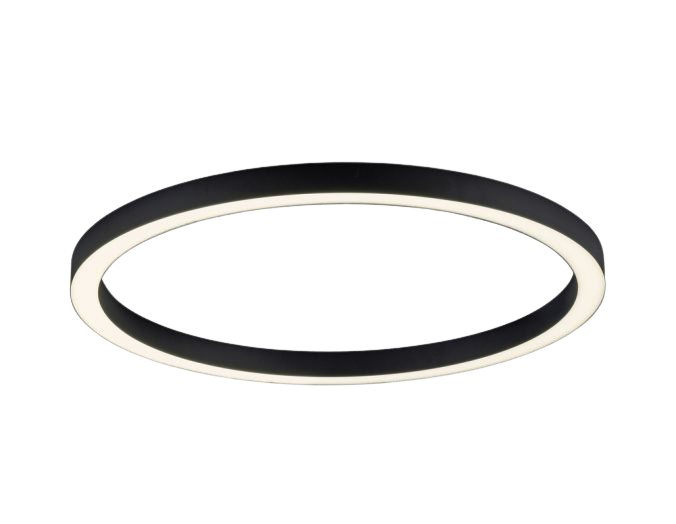 Paul Neuhaus LED Deckenleuchte Pure Lines schwarz Ø 70 cm