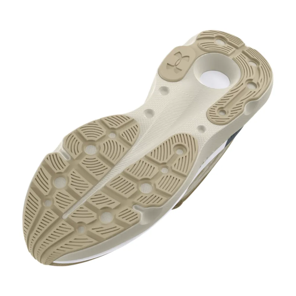 Under Armour Infinite Pro 3027187-200 / braun