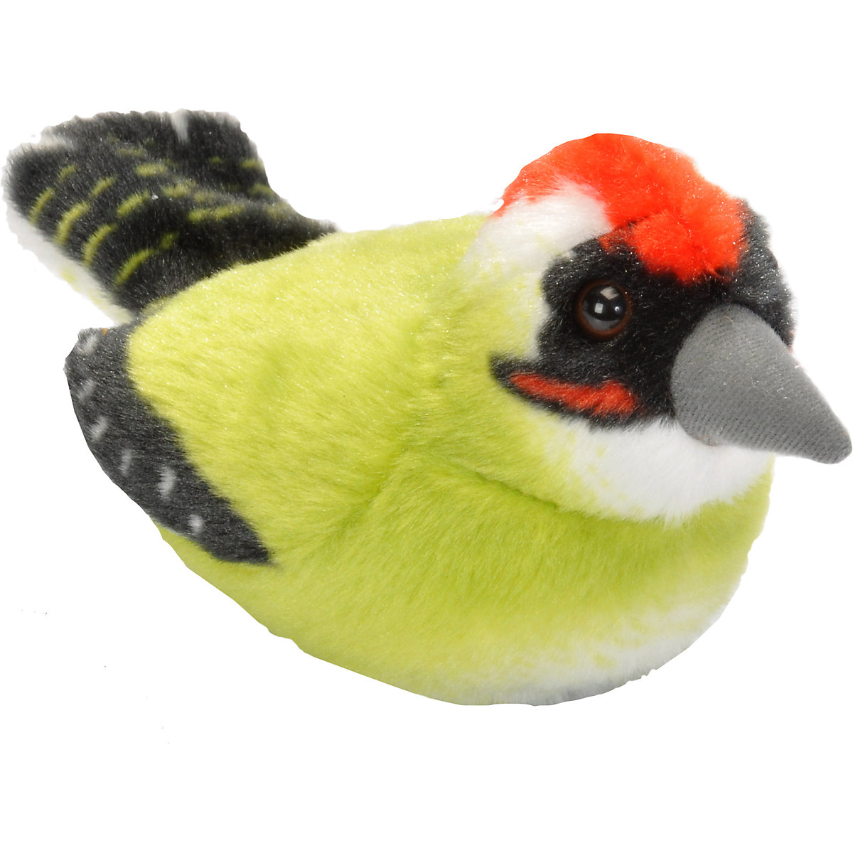 Singvogel Grünspecht